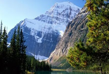 BB体育-比赛规则变更引发热议！，大坂直美在日本队比赛中刷新纪录引发球迷热议的简单介绍