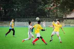包含足球赛场再起风云：闽南鲨队队读秒绝平关东独角兽队，新援首秀制胜。的词条